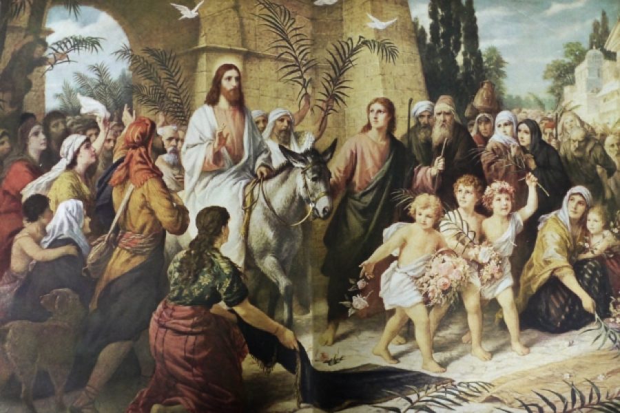 ΗΜΕΡΗΣΙΑ ΕΚΔΡΟΜΗ 13 ΑΠΡΙΛΙΟΥ ΚΥΡΙΑΚΗ ΤΩΝ ΒΑΙΩΝ ΝΕΑΠΟΛΗ-ΠΛΑΚΑ-ΕΛΟΥΝΤΑ Τ.Α.17€