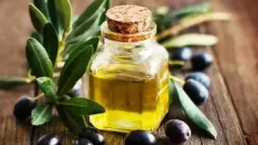 Η Ελιά και το ελαιόλαδο