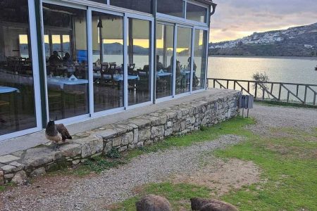 Σάββατο 07 Μαρτίου 2026-Παραμονή ημέρας γυναίκας!-Άγ.Θωμάς,λίμνη Διγενή-Γέργερη Τ.Α €33 με πλήρες μενού