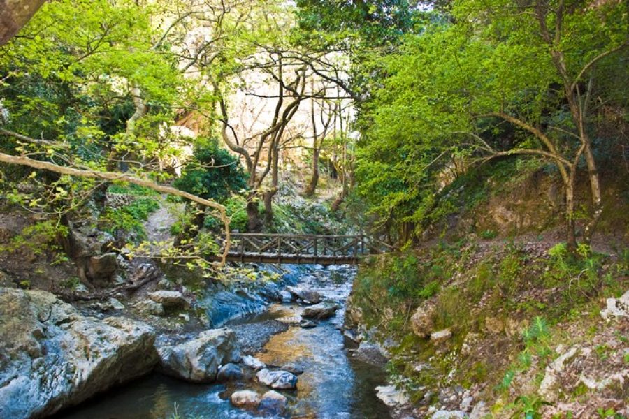 Κυριακή 26 Απριλίου Ημερήσια Εκδρομή στο Φαράγγι των Μύλων & το Χρωμοναστήρι!Τ.Α €18