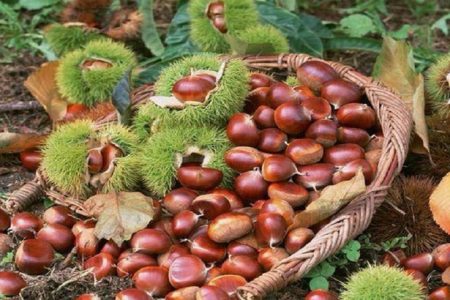 2ήμερη 24-25 Οκτωβρίου Ρέθυμνο-Λίμνη Κουρνά-Χανιά-Κομόλιθοι-Τοπόλια -Έλος-Γιορτή Κάστανου-Βρύσες Τ.Α. €149  σε 2κλινο / 3κλινο